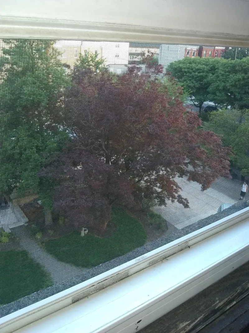 St Elizabeth's Recovery Residence - Photo 2