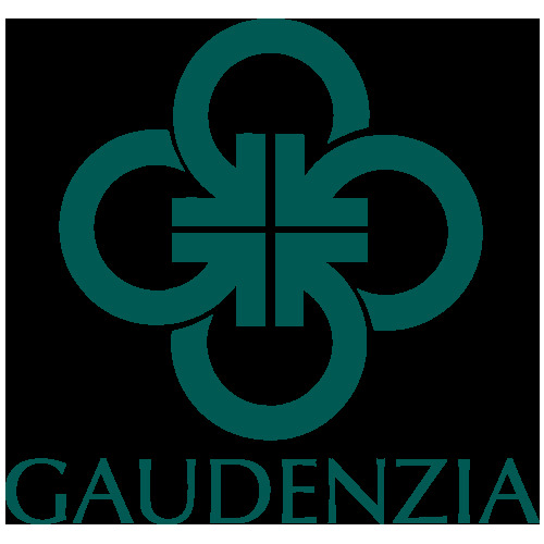 Gaudenzia Focus House - Photo 4