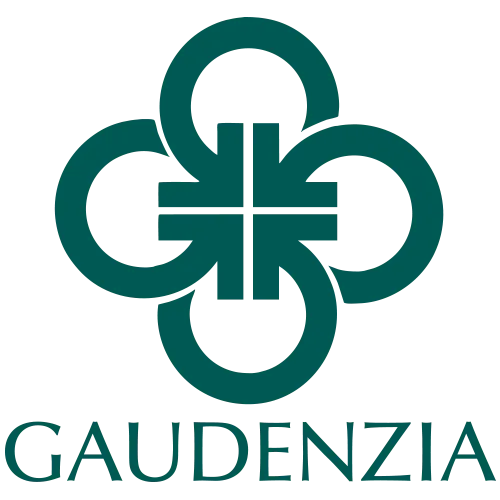 Gaudenzia Focus House - Photo 4