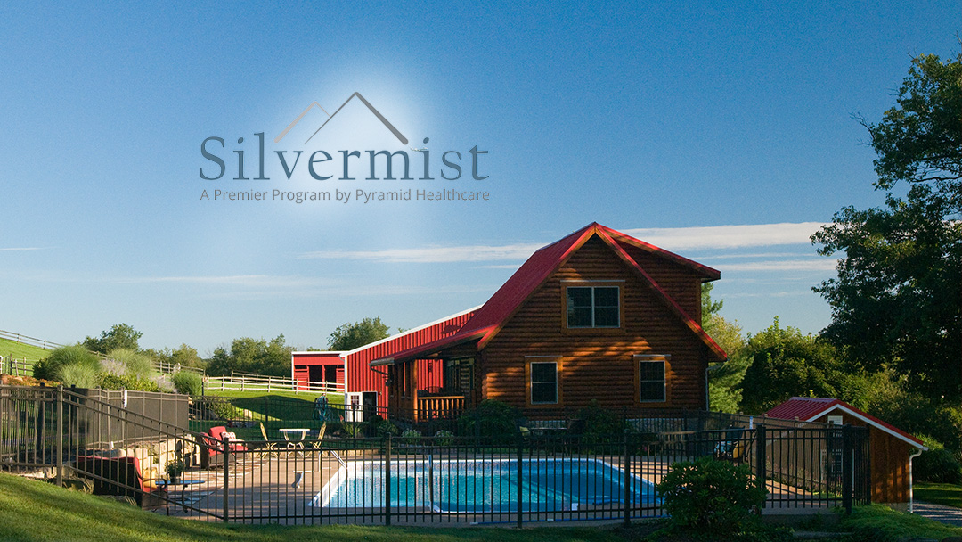 Silvermist - Photo 6