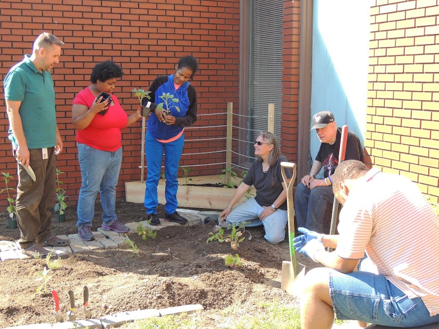 Pittsburgh Mercy Behavioral Health provider image