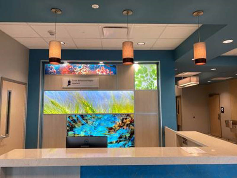 Tower Behavioral Health provider image